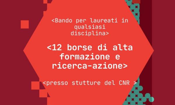 Bando per 12 borse di alta formazione e ricerca-azione.